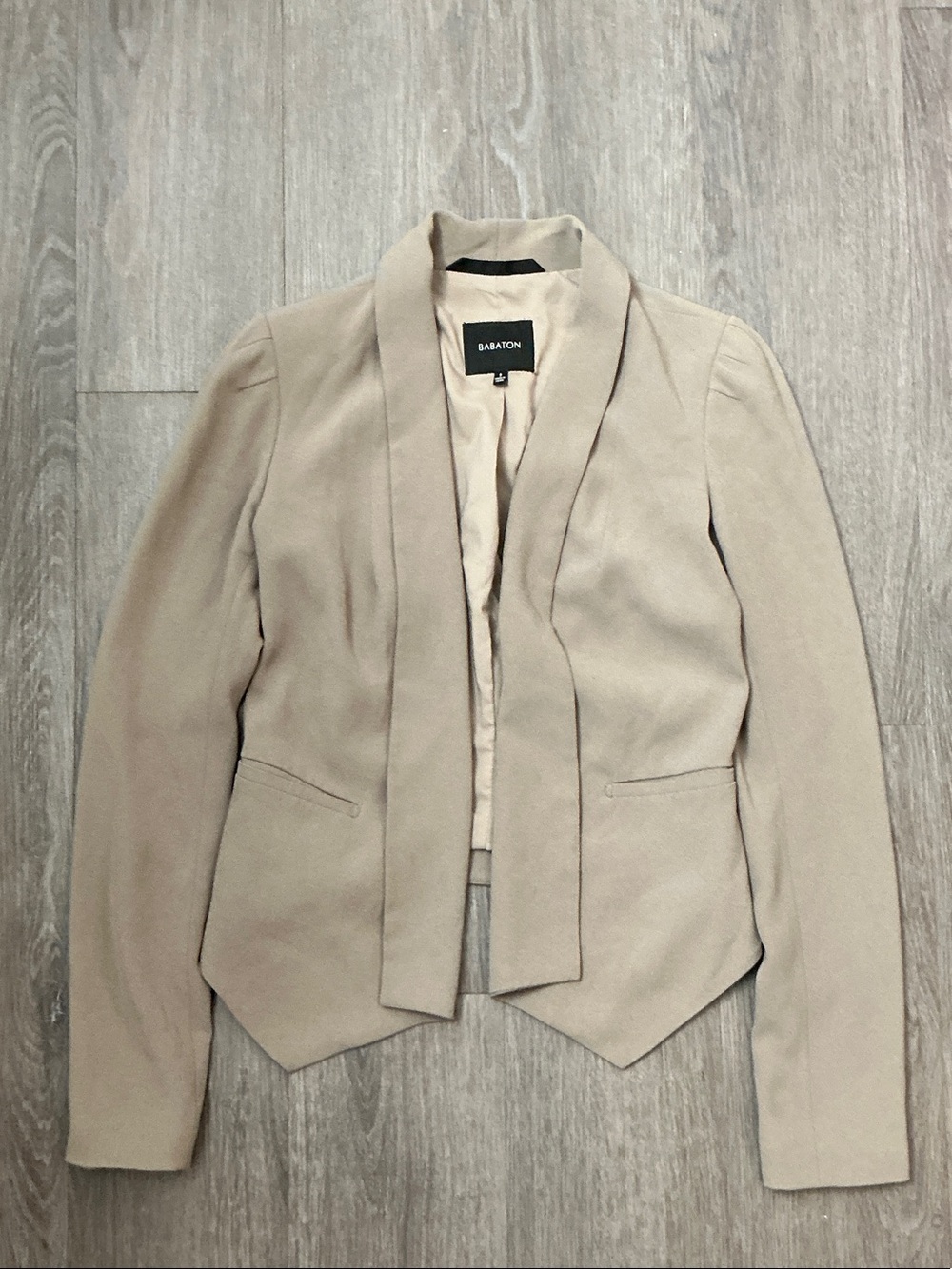 Aritzia babaton dominik blazer crepette